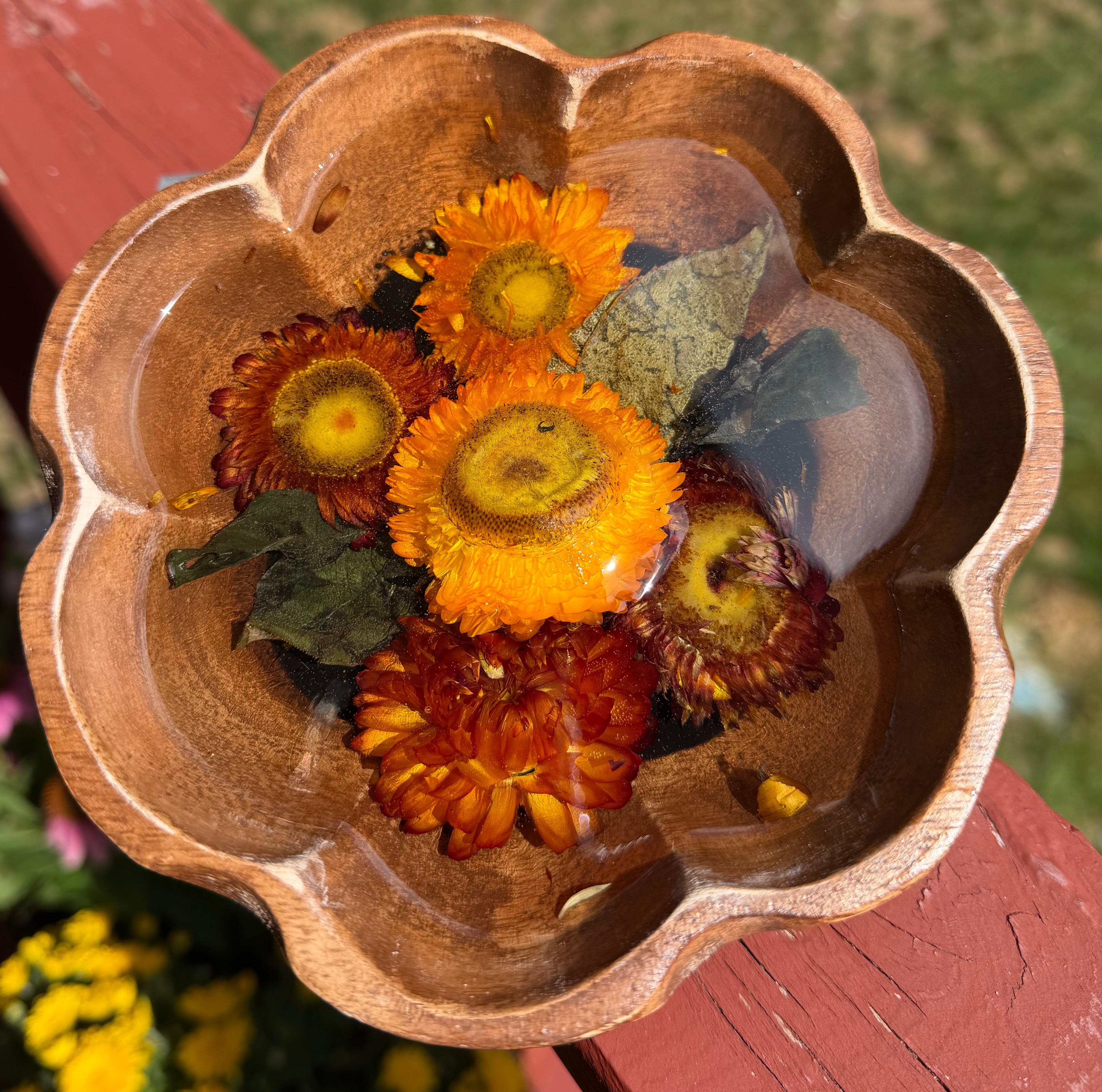 Top view of small scalloped wooden bowl with orange and rust strawflowers and sage leaves set in resin