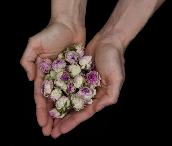 Send Your Flowers